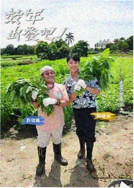 知识题库扩充资讯配图